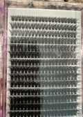 Ladies DIY eye lash extensions 5D-100D Mix